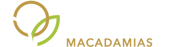 dark logo